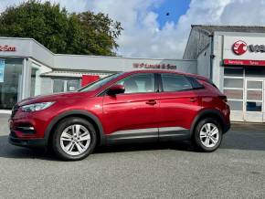 VAUXHALL GRANDLAND X 2018 (18) at W P Lewis & Son Pembroke Dock